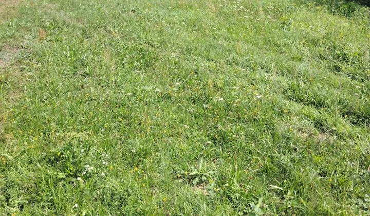 Działka rekreacyjna Przeradowo