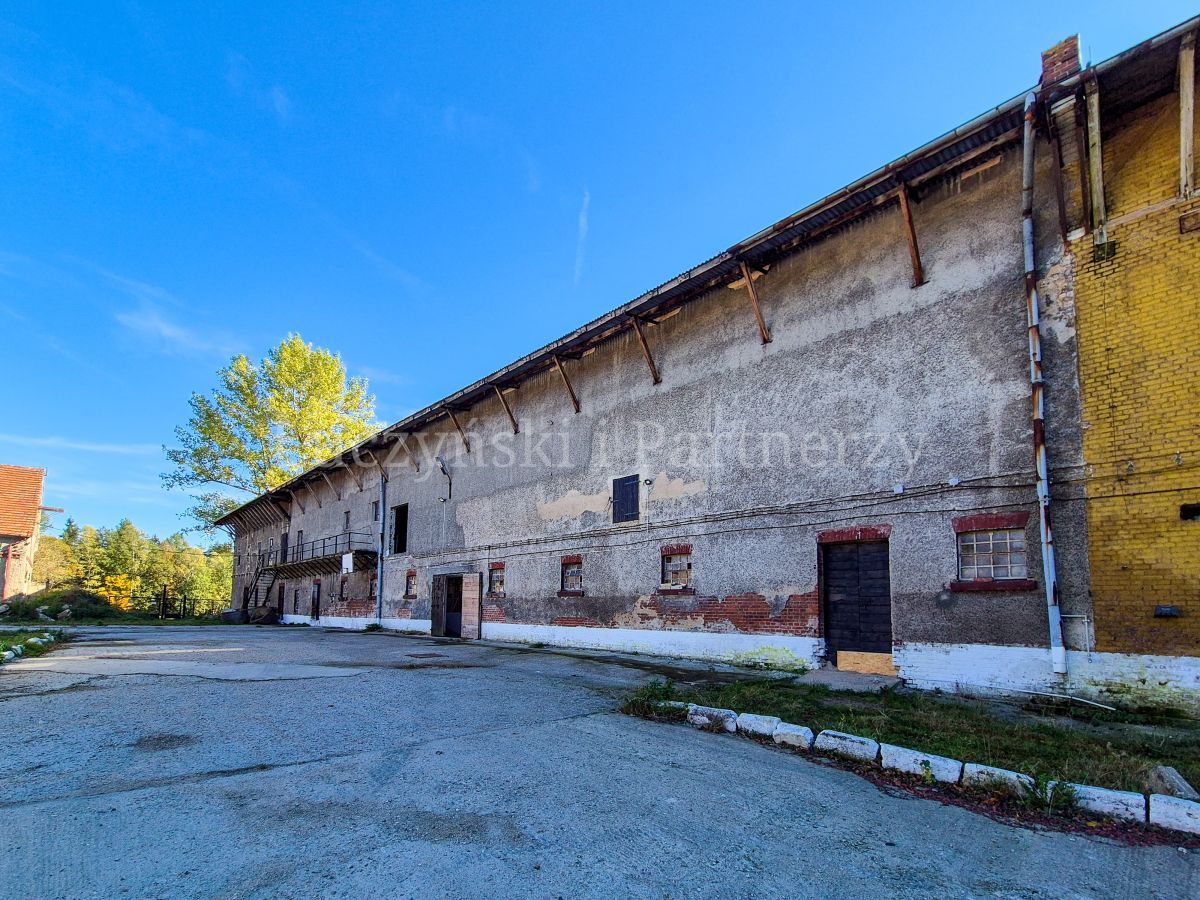 Działka inwestycyjna Ubocze. Zdjęcie 15