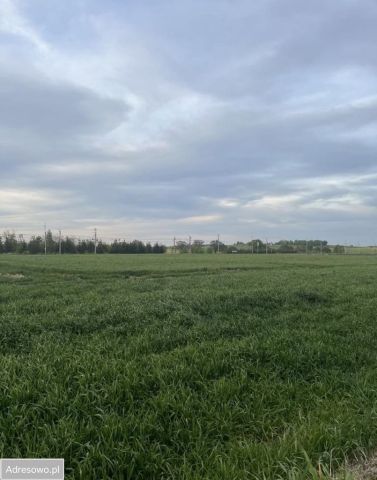 Działka budowlana Szczedrzykowice Szczedrzykowice-Stacja. Zdjęcie 1