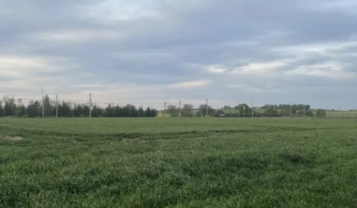 Działka budowlana Szczedrzykowice Szczedrzykowice-Stacja