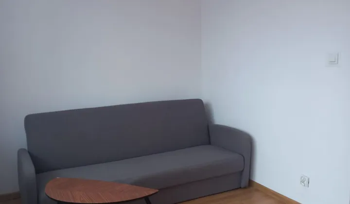 Mieszkanie 1-pokojowe Zabrze, ul. Wincentego Witosa