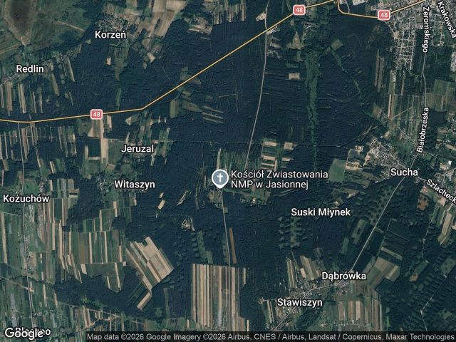 Działka leśna Jasionna. Zdjęcie 1