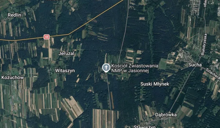 Działka leśna Jasionna