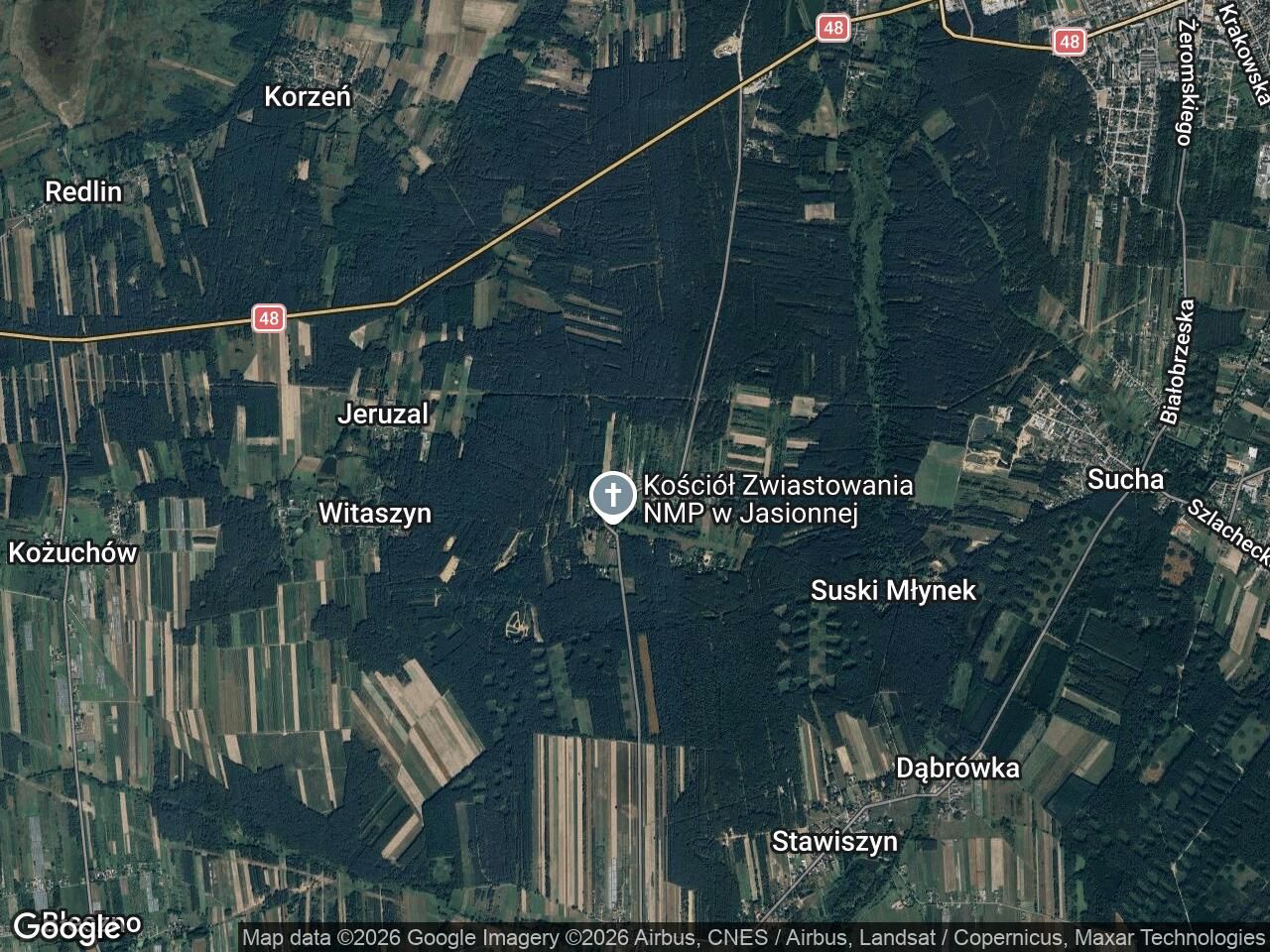 Działka leśna Jasionna. Zdjęcie 1