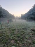Działka rekreacyjna Dąbrowa-Kolonia. Zdjęcie 3