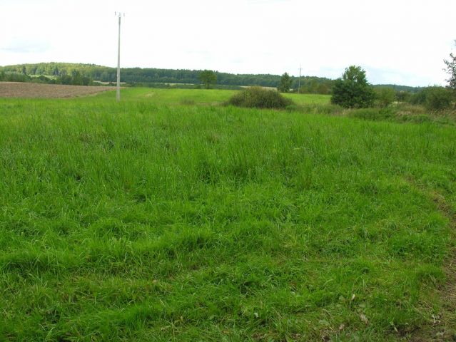 Działka rolna Długa Szlachecka. Zdjęcie 1
