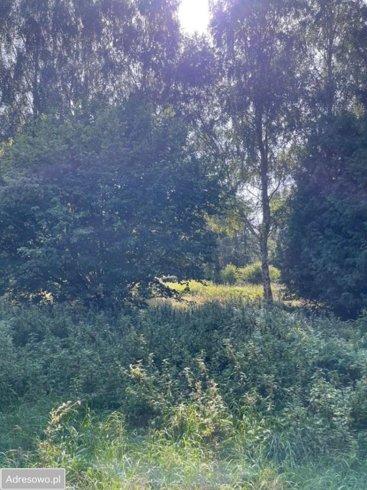 Działka budowlana Żelechów, ul. Jesienna. Zdjęcie 4