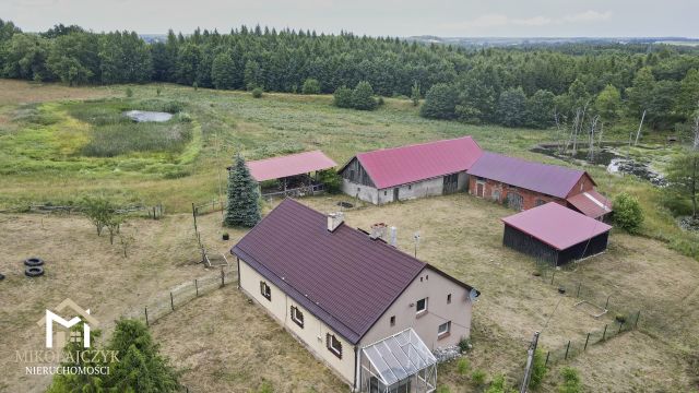 gospodarstwo, 4 pokoje Zielenica. Zdjęcie 2