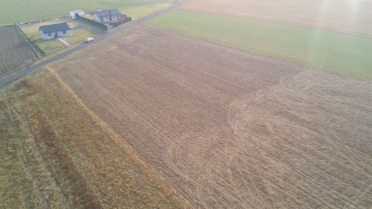 Działka budowlana Gogolewo. Zdjęcie 3