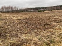 Działka rolno-budowlana Promna-Kolonia. Zdjęcie 3