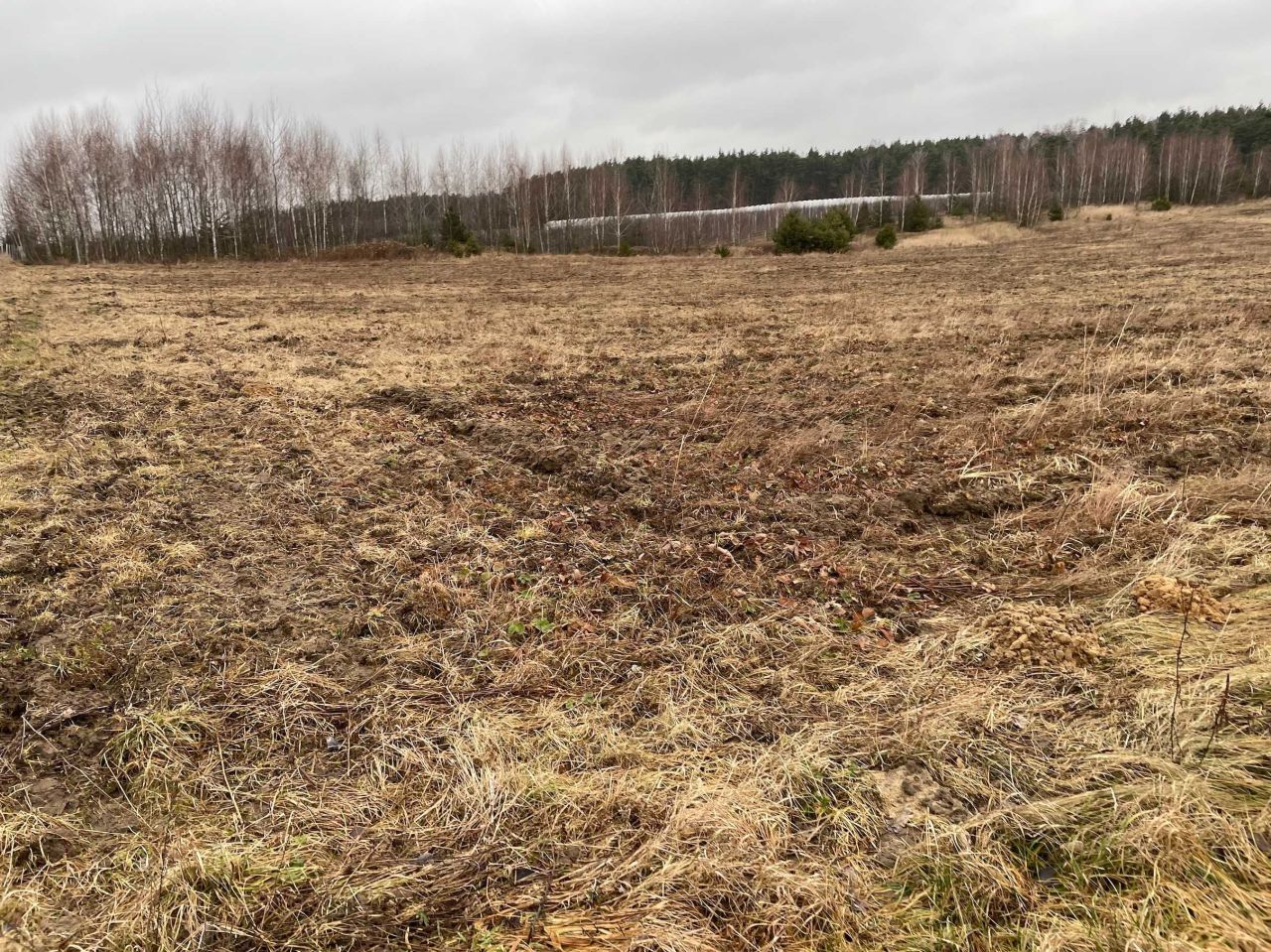 Działka rolno-budowlana Promna-Kolonia. Zdjęcie 4
