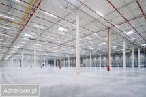 Hala/magazyn Konstancin-Jeziorna. Zdjęcie 2
