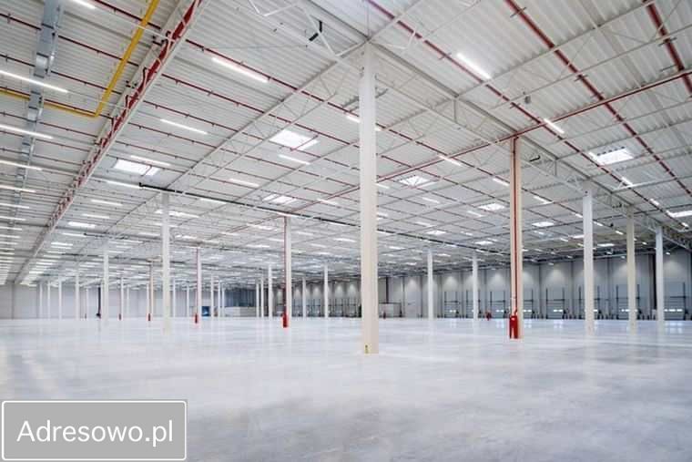 Hala/magazyn Konstancin-Jeziorna. Zdjęcie 3