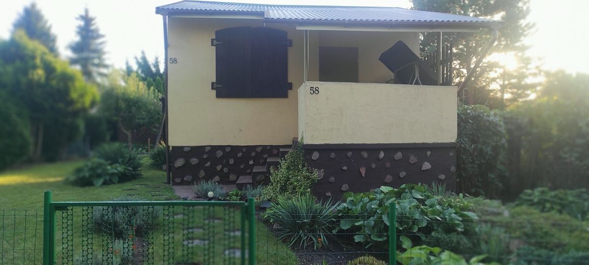 Działka rekreacyjna Drzewce, ul. Ogrodowa