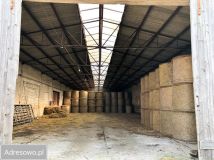 Hala/magazyn Olszewo. Zdjęcie 1