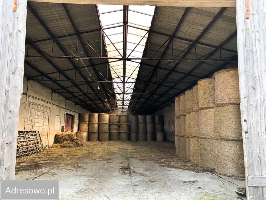 Hala/magazyn Olszewo. Zdjęcie 2