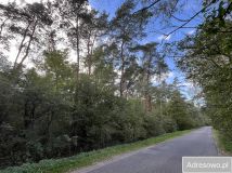 Działka leśna Rostki. Zdjęcie 2