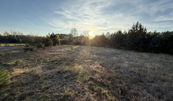Działka budowlana Łazy, ul. gen. Władysława Sikorskiego