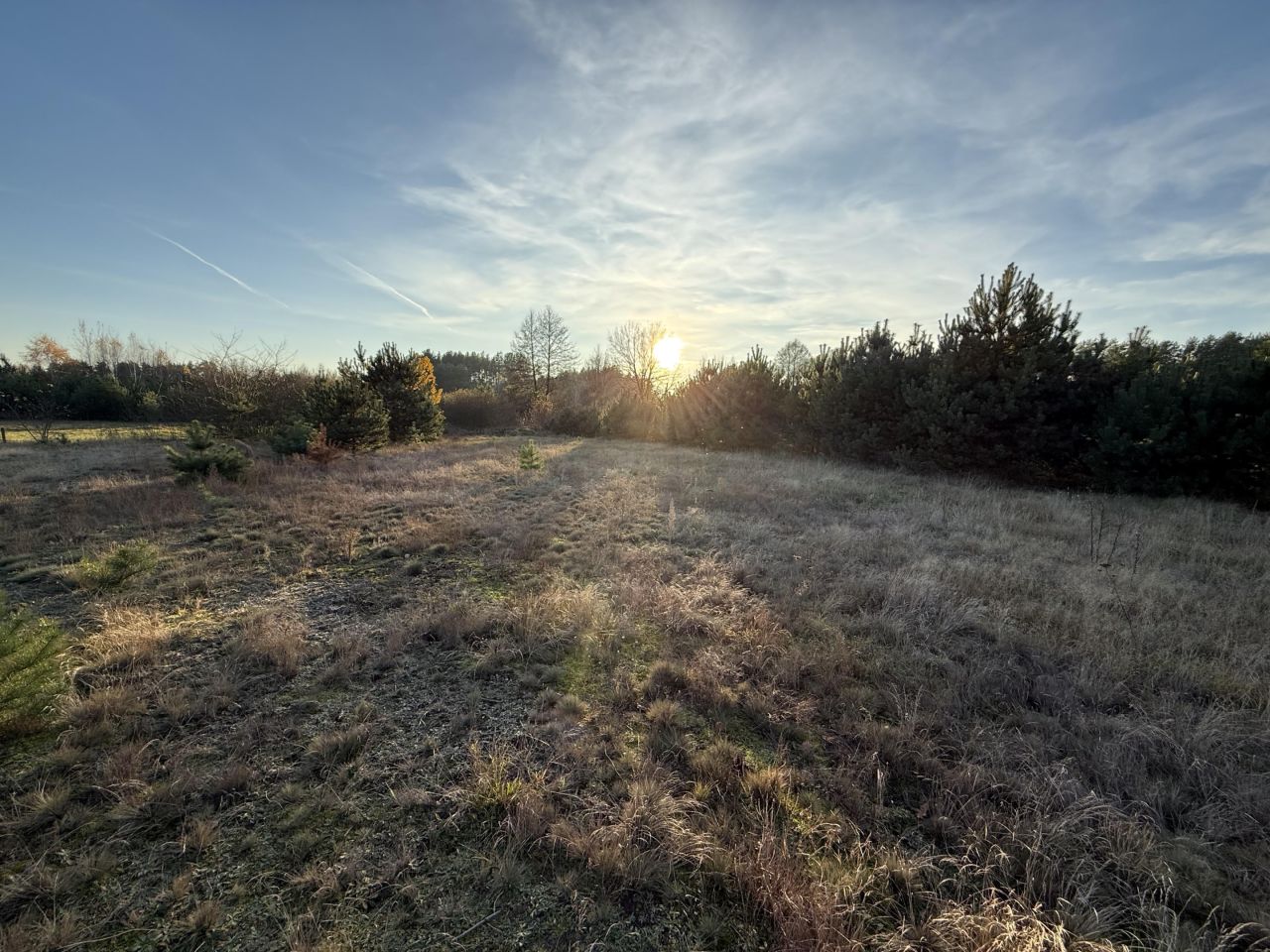 Działka budowlana Łazy, ul. gen. Władysława Sikorskiego