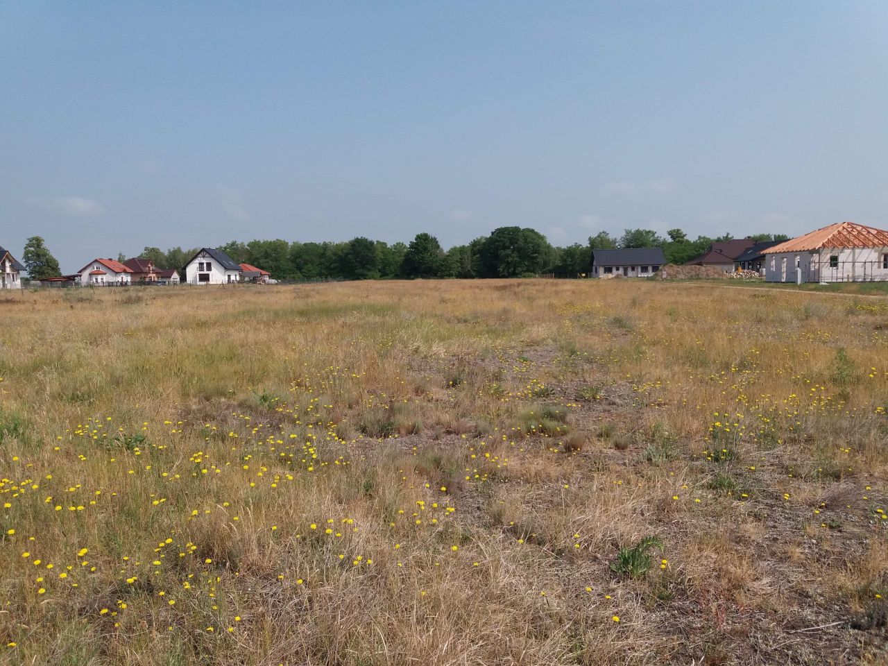 Działka rolno-budowlana Słońsk, ul. Poniatowskiego. Zdjęcie 2