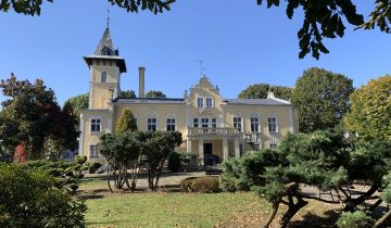 dworek, 20 pokoi Koźmin Wielkopolski, ul. Lipowa