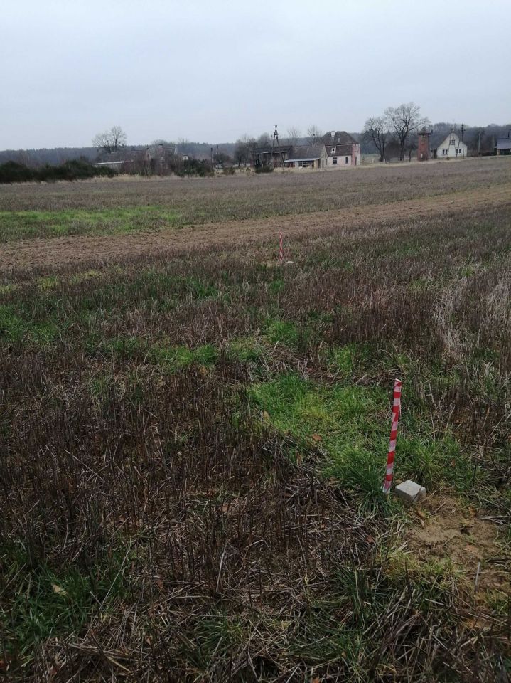 Działka budowlana Czartkowo. Zdjęcie 4