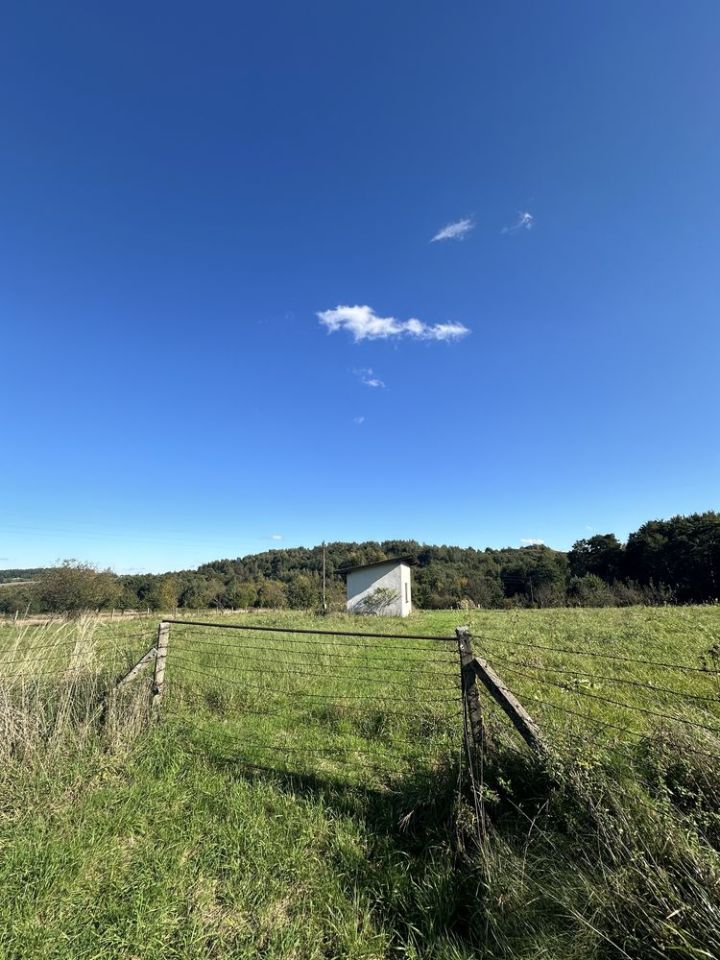 Działka rolna Barwałd Dolny, ul. Piaskowa. Zdjęcie 3