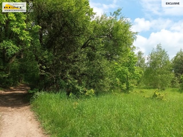 Działka rolna Binowo. Zdjęcie 16