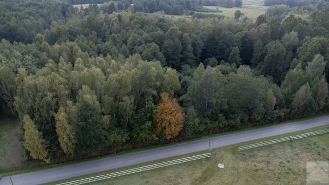 Działka budowlana Majdan Sieniawski. Zdjęcie 4