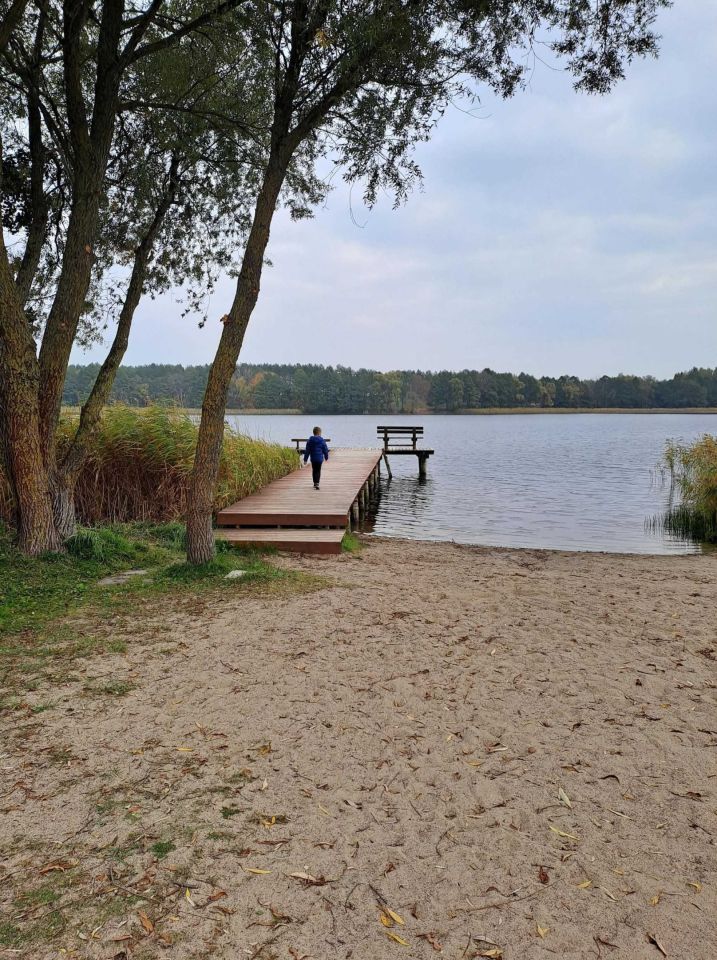 Działka rolna Michałki. Zdjęcie 5
