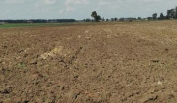 Działka rolna Murzynowiec Leśny