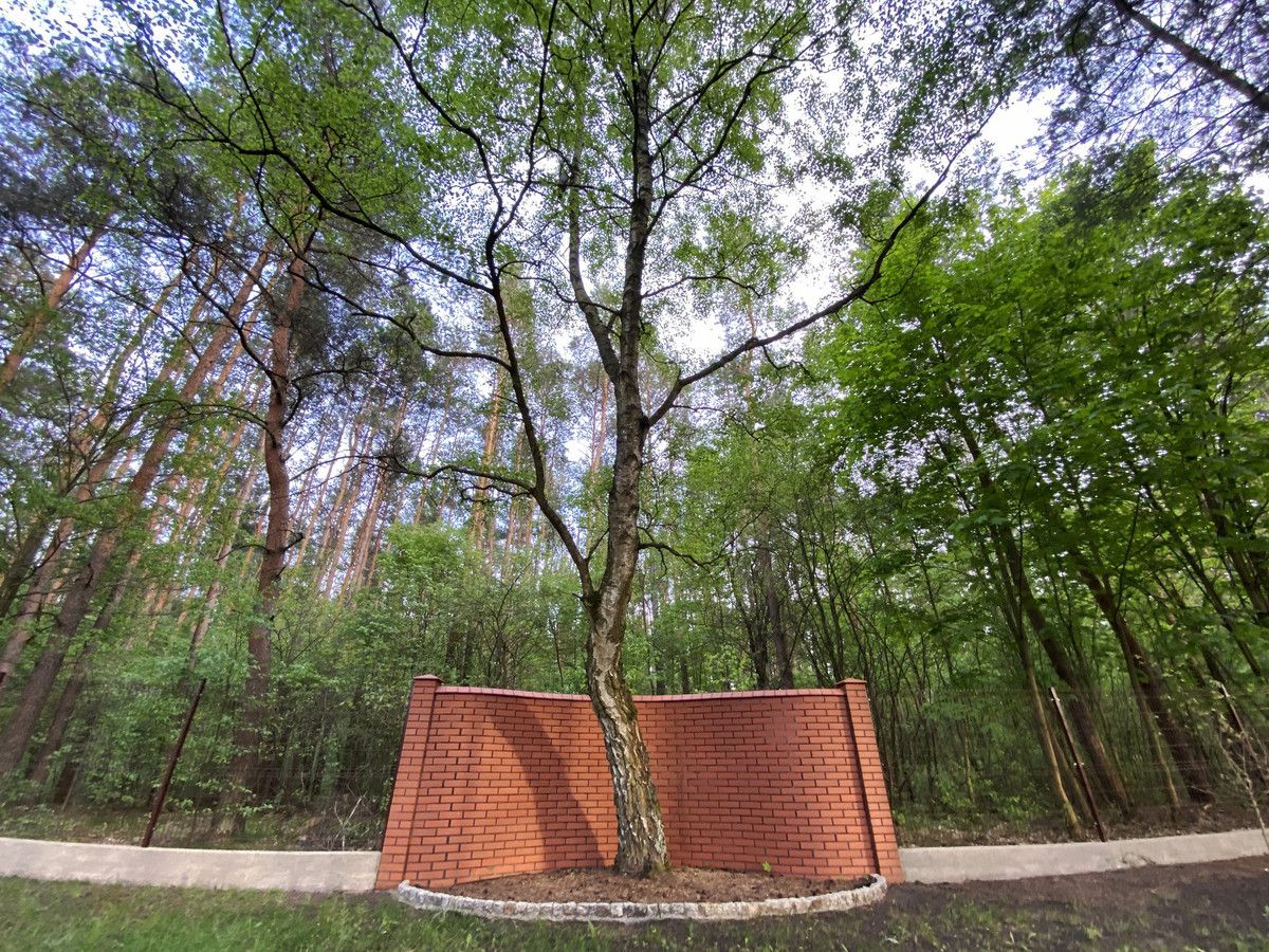 dom wolnostojący, 6 pokoi Toruń Wrzosy, ul. Tartaczna. Zdjęcie 13