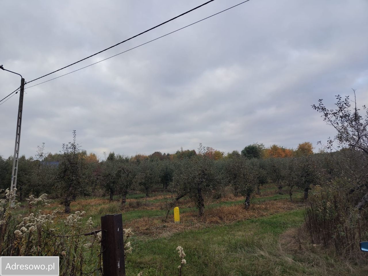 Działka rolno-budowlana Kazimierz Dolny Jeziorszczyzna. Zdjęcie 7