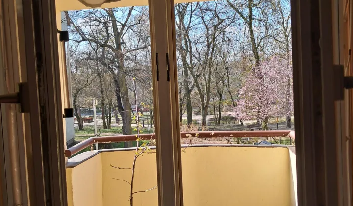 Mieszkanie 3-pokojowe Szczecin Centrum, ul. Juliana Ursyna Niemcewicza