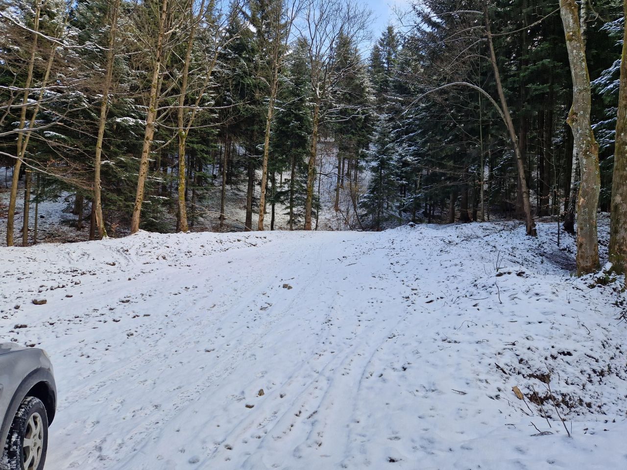 Działka leśna Inwałd, Prosta. Zdjęcie 4