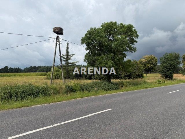 Działka inwestycyjna Wąbrzeźno. Zdjęcie 4