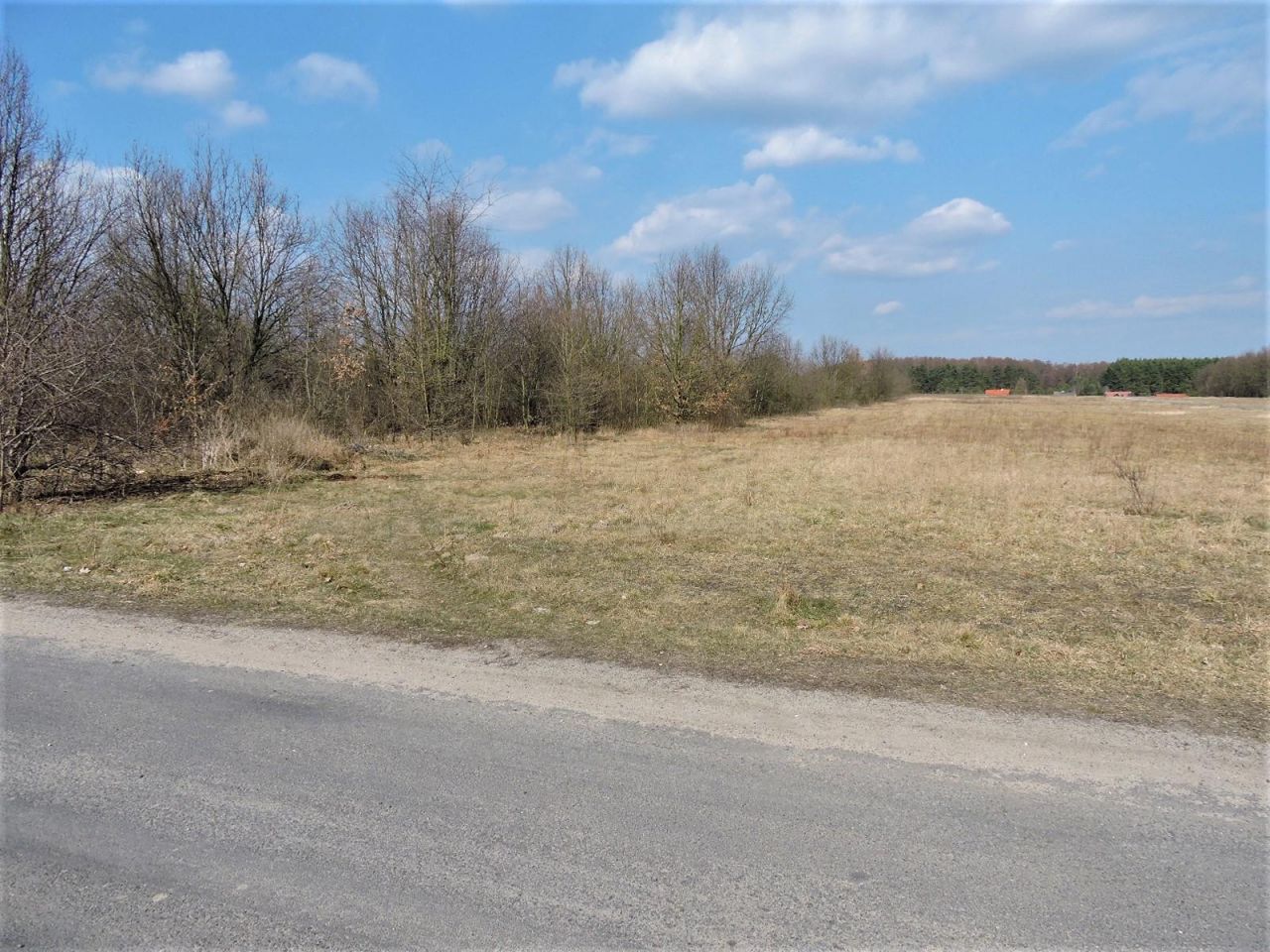 Działka rolno-budowlana Kępiaste. Zdjęcie 2