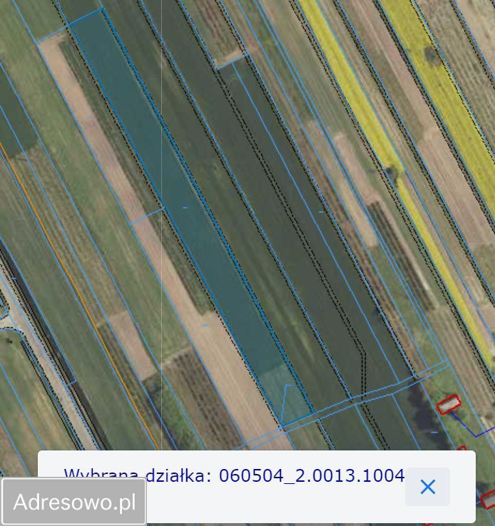 Działka budowlana Zdziłowice Pierwsze. Zdjęcie 3