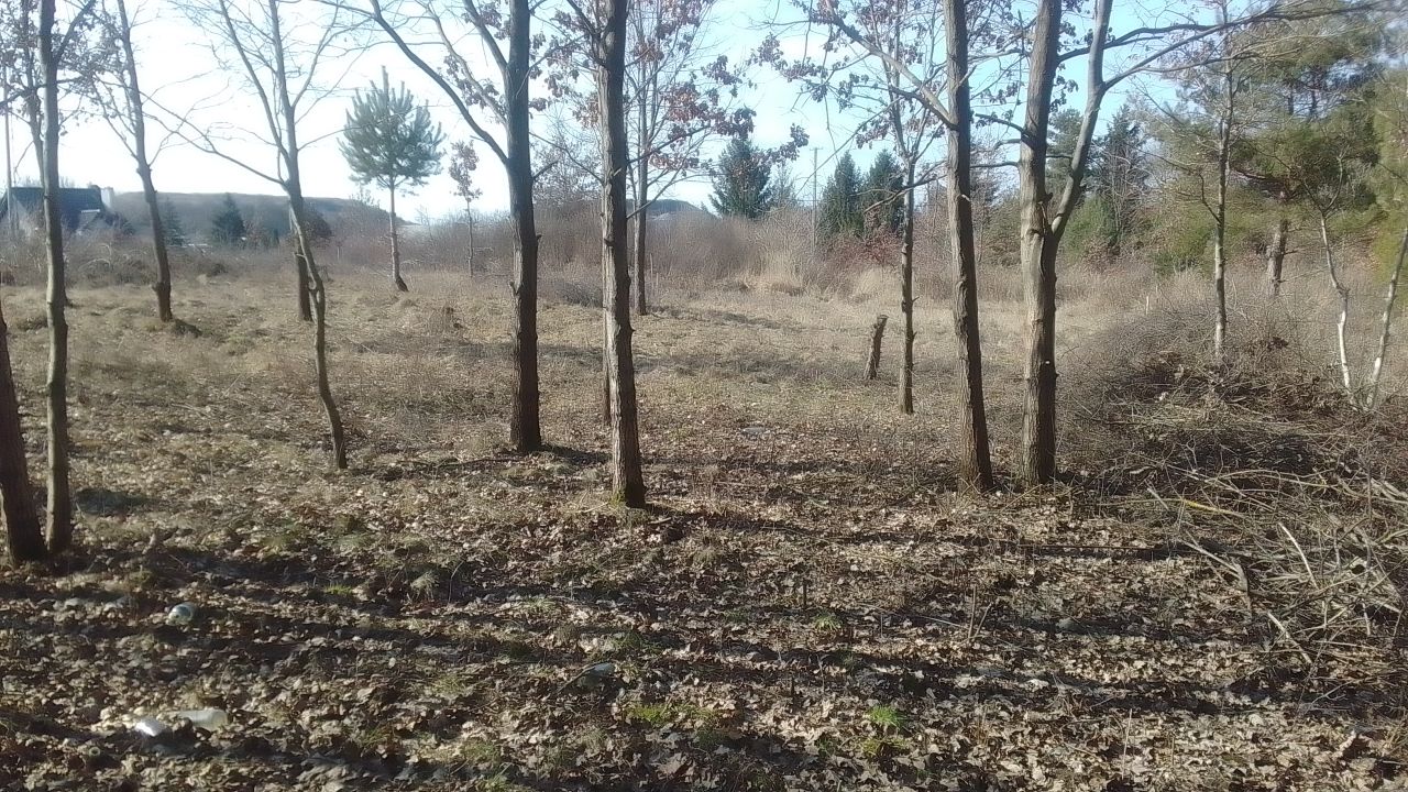 Działka budowlana Miedziana Góra Herby, ul. Górnicza. Zdjęcie 7