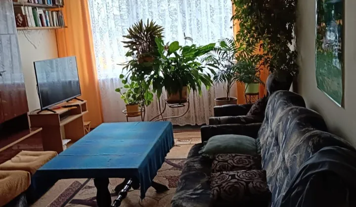 Mieszkanie 4-pokojowe Adamowo