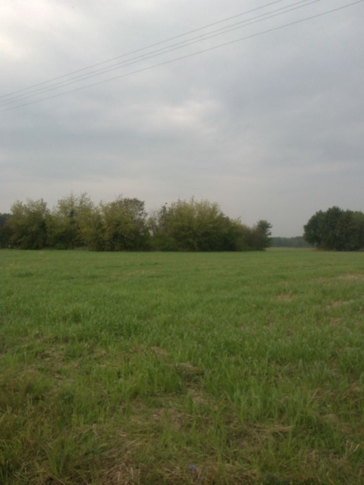 Działka siedliskowa Kosiorki. Zdjęcie 9