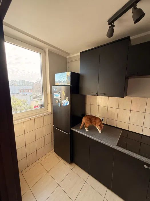 Mieszkanie 1-pokojowe Warszawa Bródno, ul. Piotra Wysockiego. Zdjęcie 4