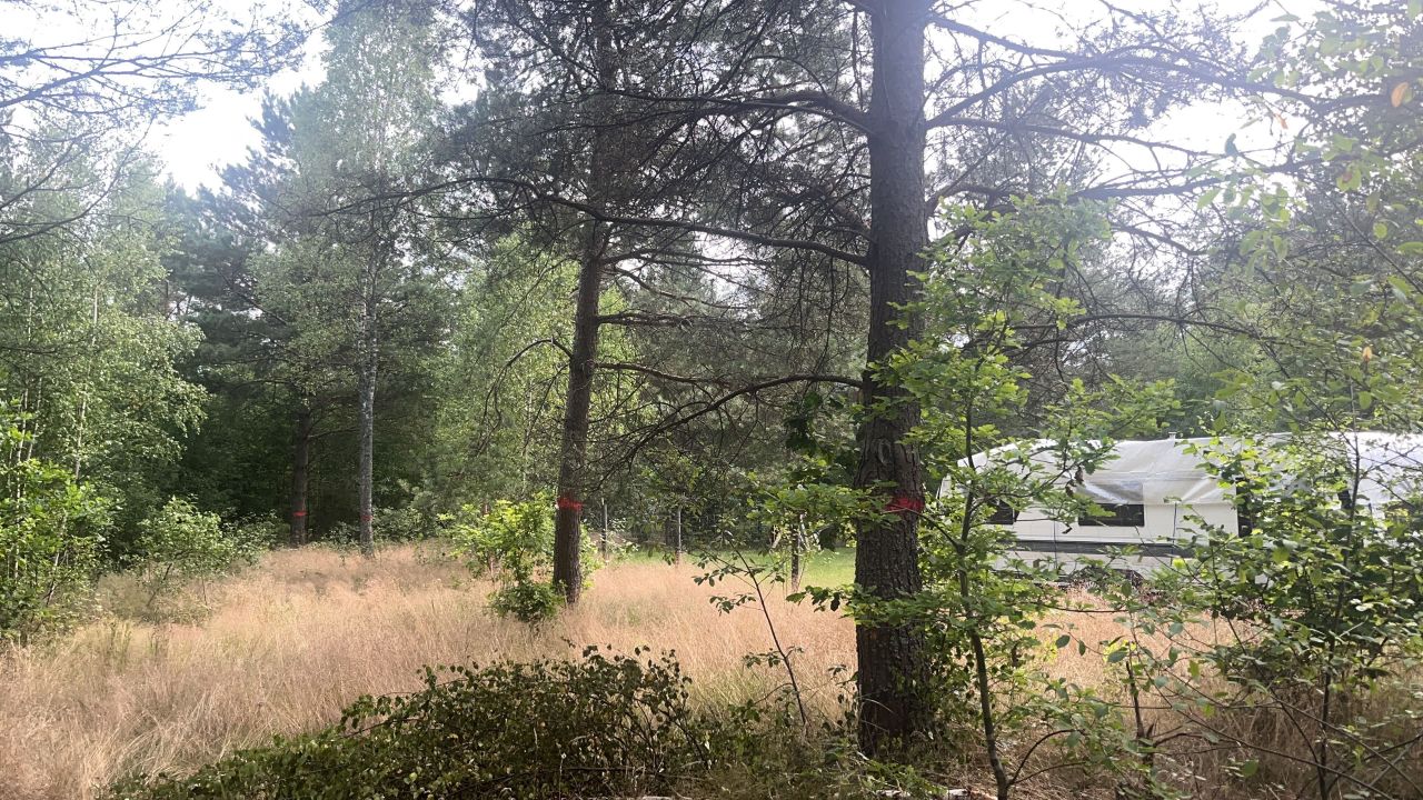 Działka budowlana Abisynia. Zdjęcie 4