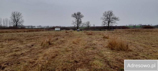 Działka budowlana Wierzbno. Zdjęcie 1