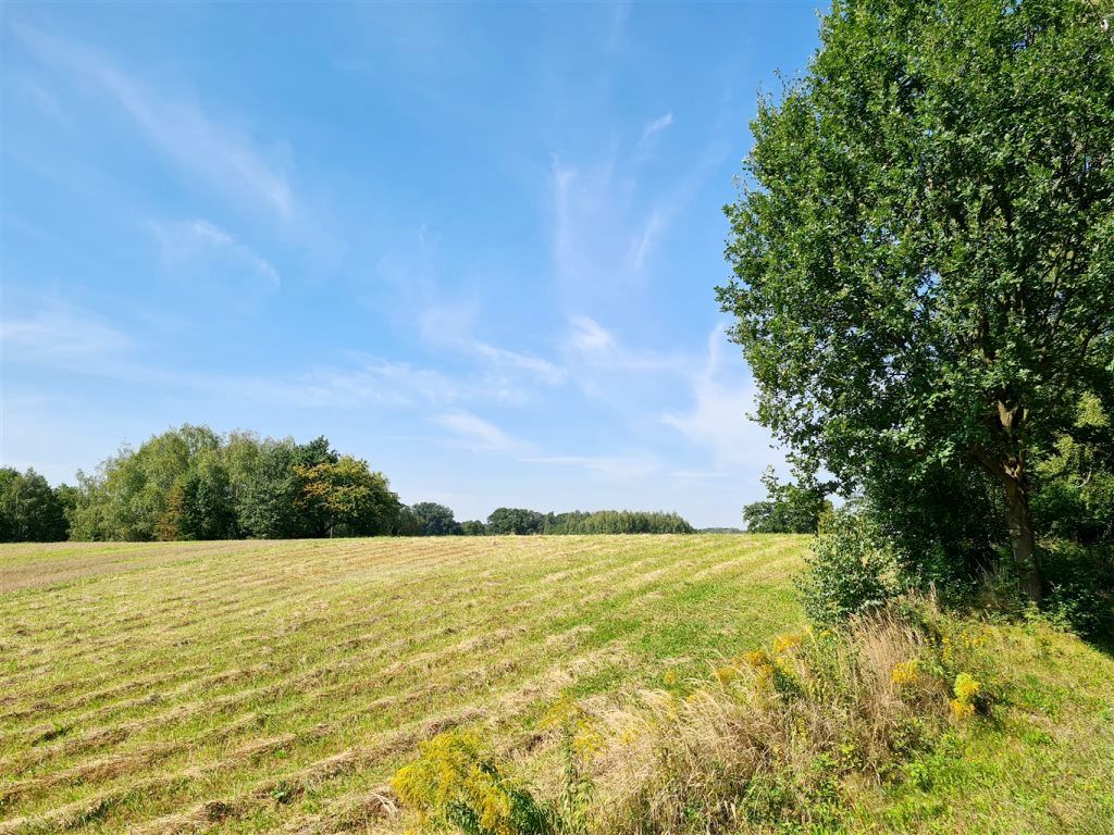 Działka budowlana Pielgrzymowice Trąbieniec, ul. Jastrzębska. Zdjęcie 13