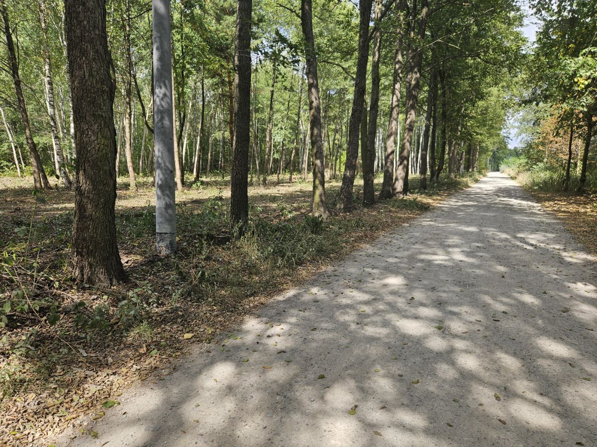 Działka budowlana Żanęcin, ul. Gościniec. Zdjęcie 8