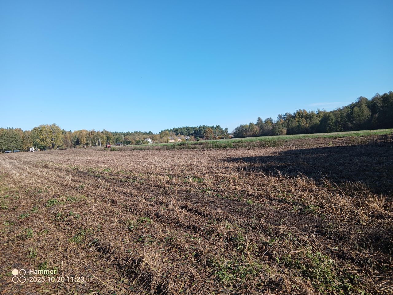 Działka rolno-budowlana Bieniew. Zdjęcie 6