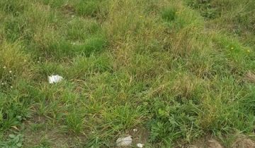 Działka budowlana Gorzów Wielkopolski Karnin