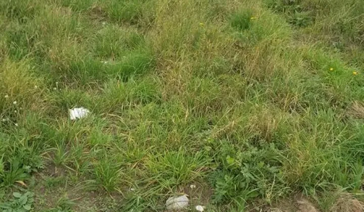 Działka budowlana Gorzów Wielkopolski Karnin