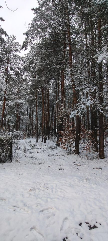 Działka rekreacyjna Cyganówka. Zdjęcie 4